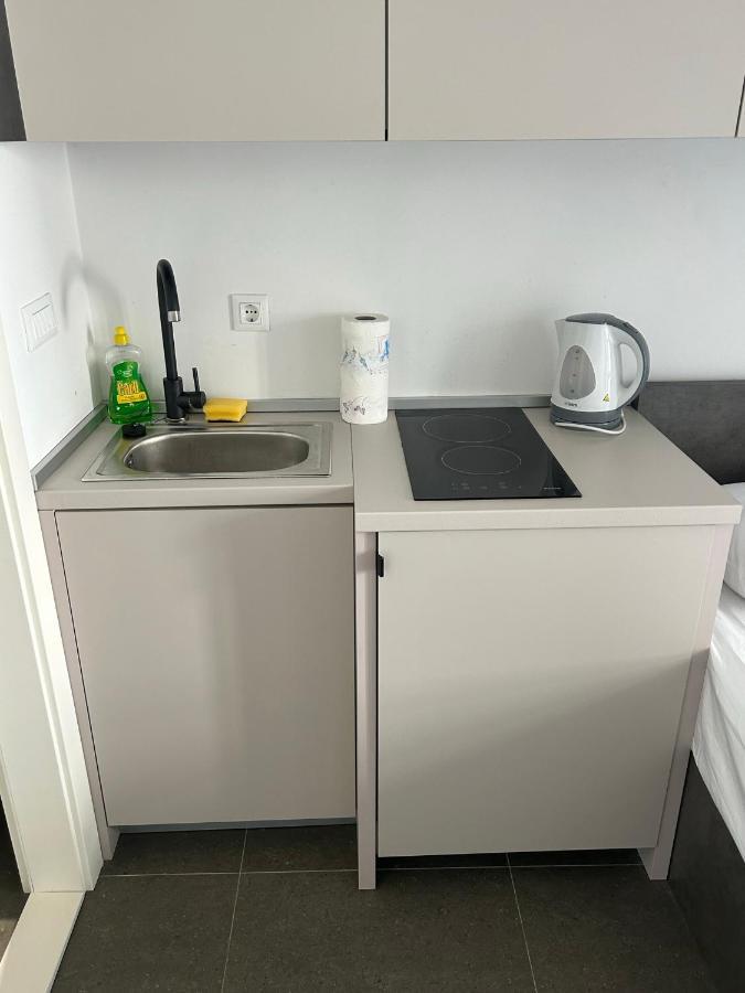 Lägenhet Radunica Olt Town - 5 *